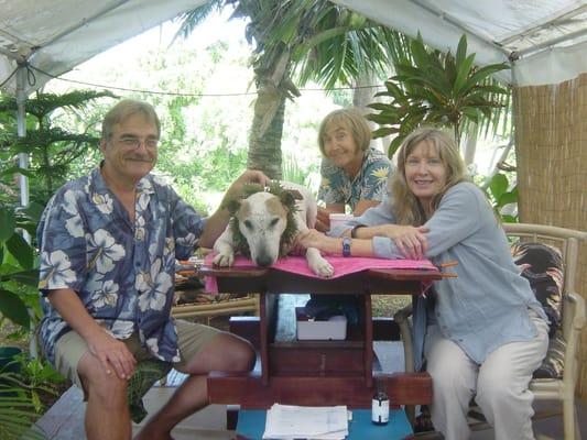 Inside one of the clinic rooms at our Kauai clinic.