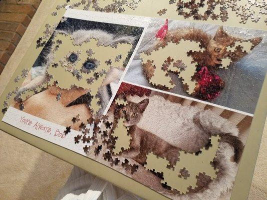 Valentine's Day Quiz:  Q: What do you get for the girl who has everything?  A: A puzzle made of pictures of her cat.