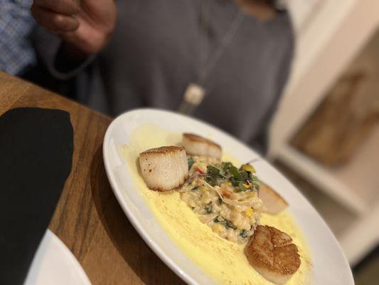 Scallops and risotto