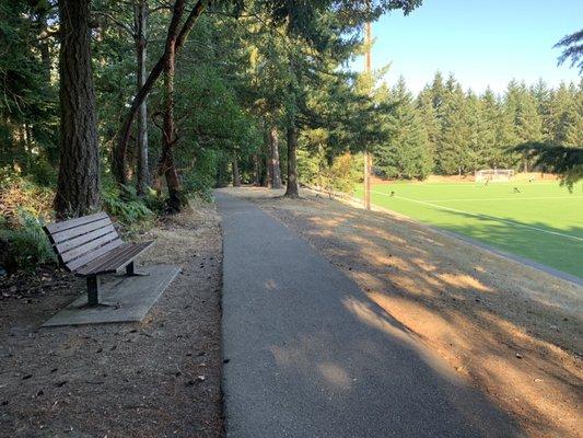 Bench overlooking the soccer fields.