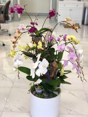 Beautiful orchid arrangement