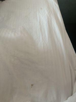 Stains on top sheet