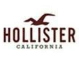 Hollister Co.