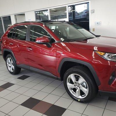 2021 Rav4 Limited Hybrid in Ruby Flare