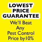 Best Price Guarantee