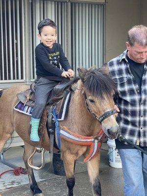 Pony rides day