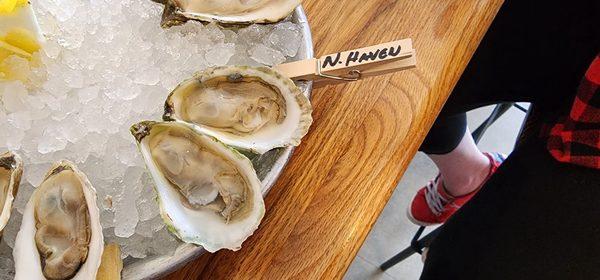 New Haven raw oysters