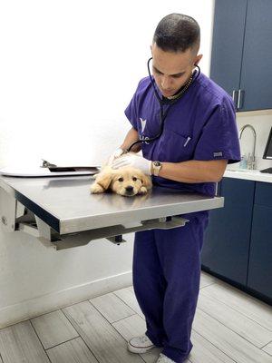 Animal Hospital of South Bay