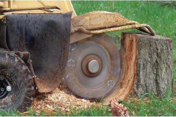 Stump Grinding Service