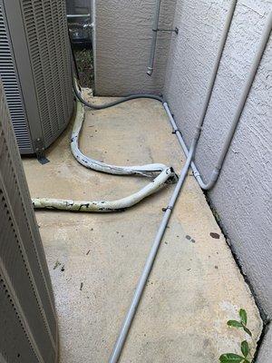 After(making sure you're a/c lines are clean is important. It prevents from breathing in harmful pathogens .