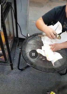 The managers kid torturing a bird on a metal fan on high in middle of the store