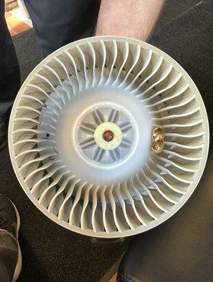 Peanut shell in the car fan motor blower