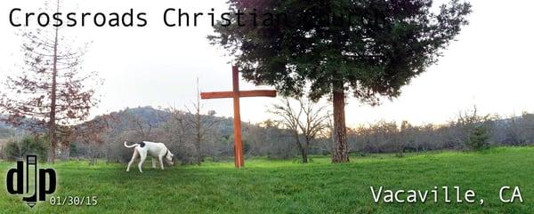 HAPA Boy - Grazing... 'And praising.