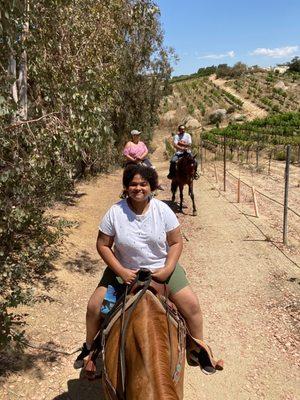 Vineyard Horseback Ride