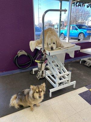 We don't have to complete the drying in the tub. We love this place, more cookies please.