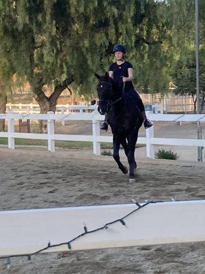 Liz Bolton Stables