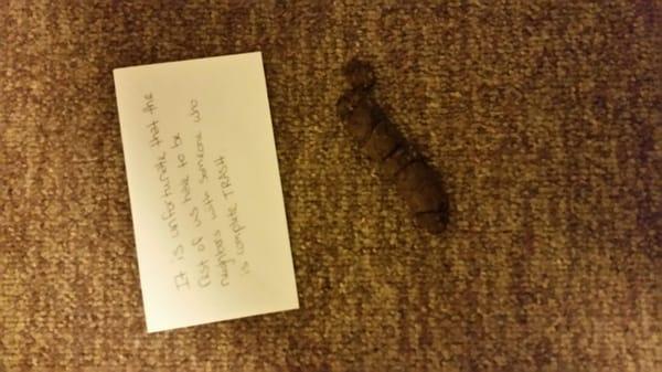 Typical hallway banter over dog poop that wasn't cleaned up.