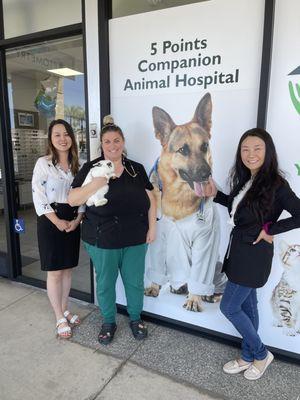 5 Points Companion Animal Hospital