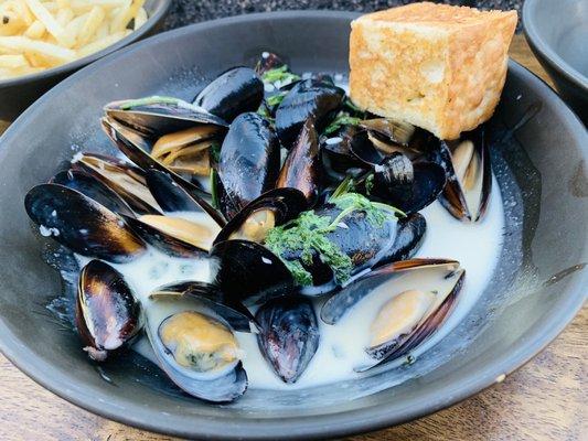 Mussels