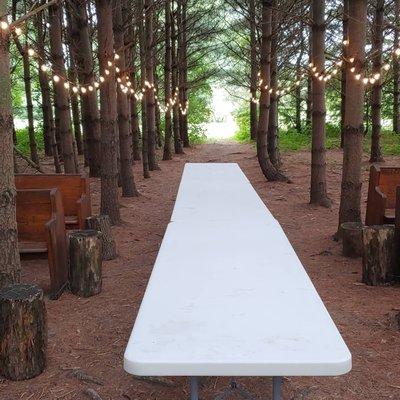 Blank canvas for Mocktails & Conversation Summer Picnic.