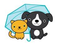 It's Raining Cats & Dogs