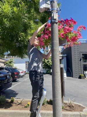 Watering and Beautifying our town