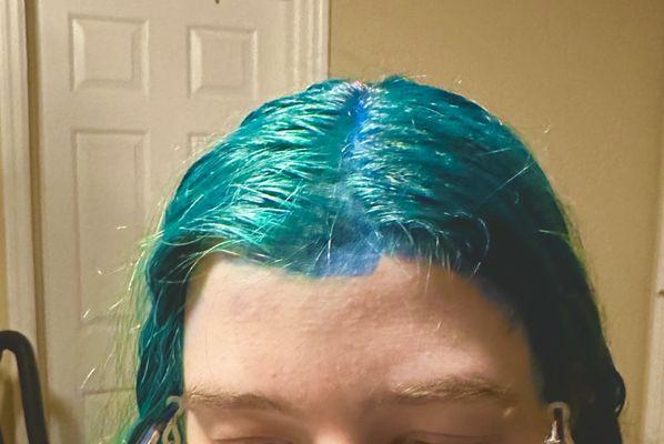 Hair before I washed the dye out