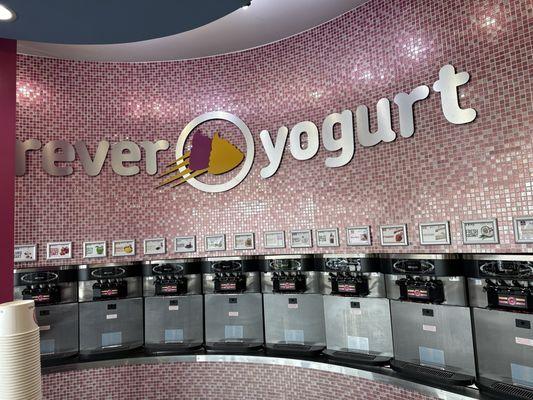 Fro-yo options