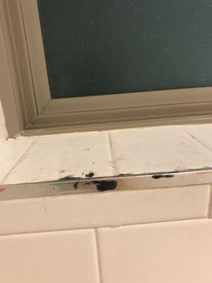 Mold and hairs in shower at move in