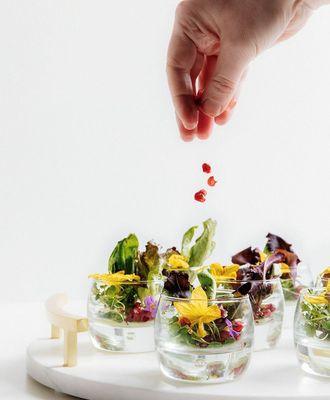 Fresh salad served in elegant bowls topped with pomegranate