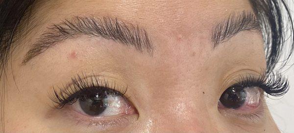 brow lamination without tint, hybrid extensions