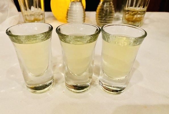 complimentary Limoncello shots