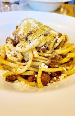 Bolognese bucatini