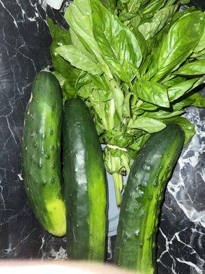 Organic veggies and fresh basil!