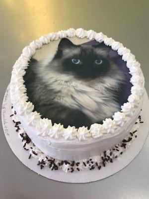 custom frozen yogurt cake with customer's cat pictured.