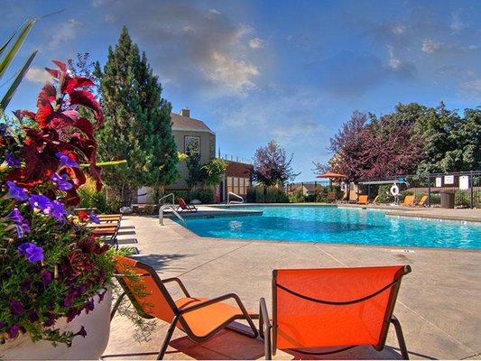 Large Resort Style Pool