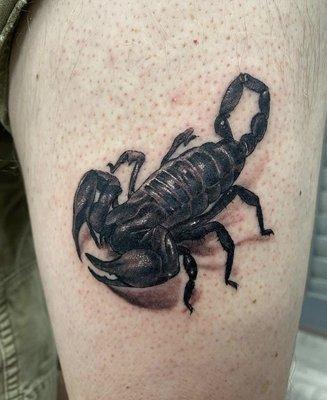 Realistic scorpion by @elena.esperanzaink