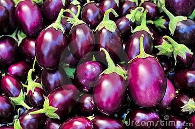 Indian eggplant