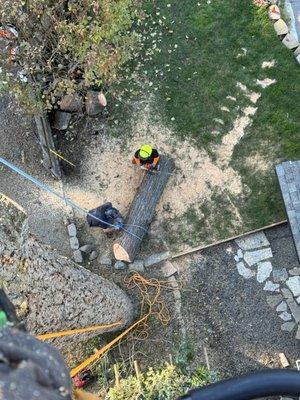 Rigging out some heavy logs that probably weigh roughly 900 to 1200 pounds.