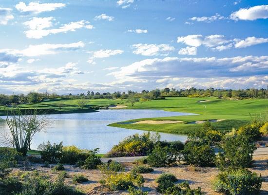 Grayhawk golf course