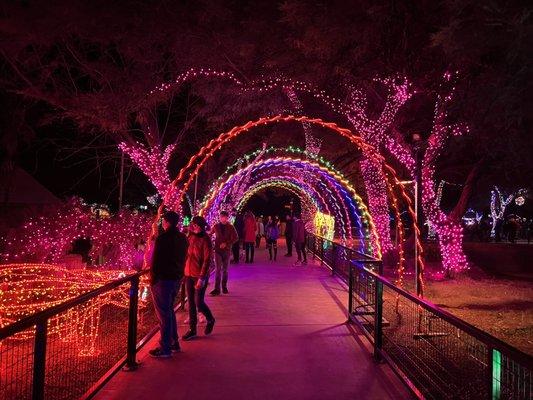 Christmas Zoo lights 2021