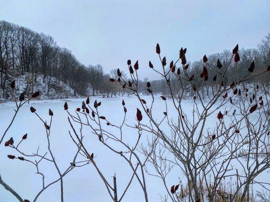 Akron Falls Park