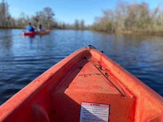 Swamp, Kayak, people