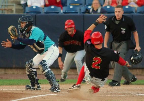 Milford Photo outing to Bridgeport Bluefish baseball game - attendees enjoy press access to photograph the game