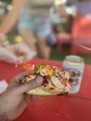 Fantastic lobster roll!