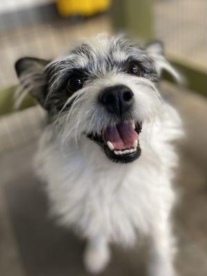 Daycare smiles!