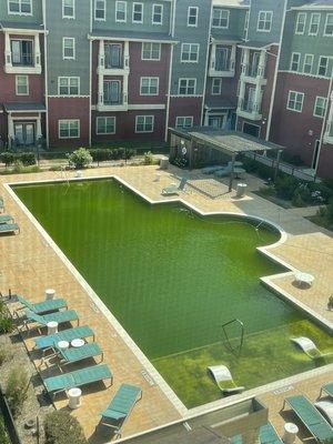 a green pool that should be blue