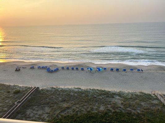 T.S surf school & rentals set up nice & early. These guys actually jogging as they set stuff up!!