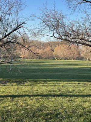 Loose Park as the sun is going down, creating beautiful, long shadows.