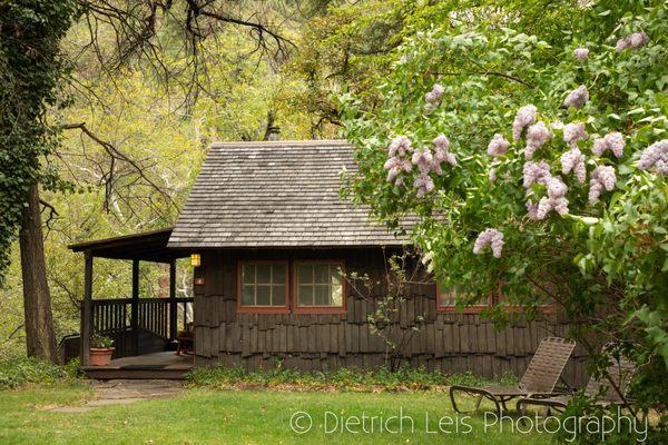 Our lovely cabin #4